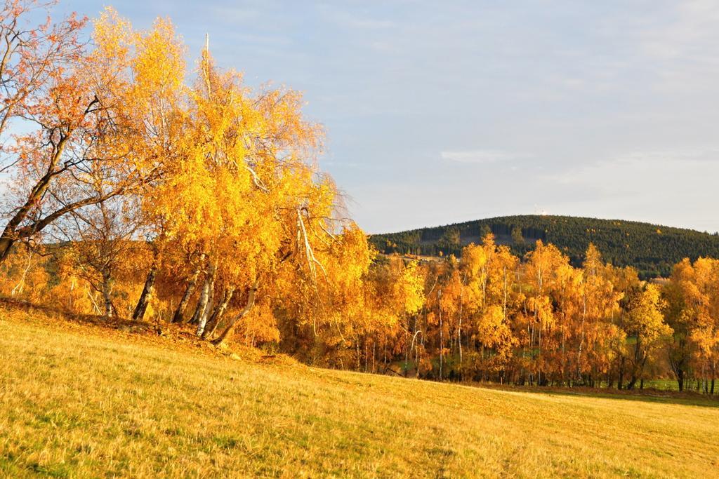 Penzion Rankl-Sepp Stachy Buitenkant foto