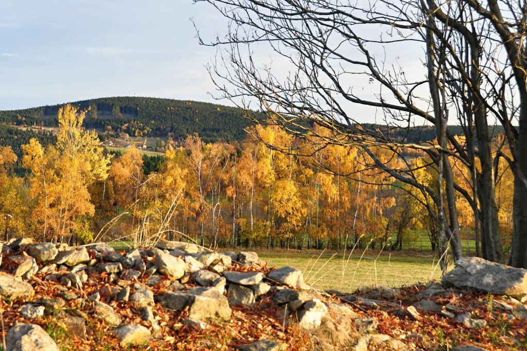 Penzion Rankl-Sepp Stachy Buitenkant foto